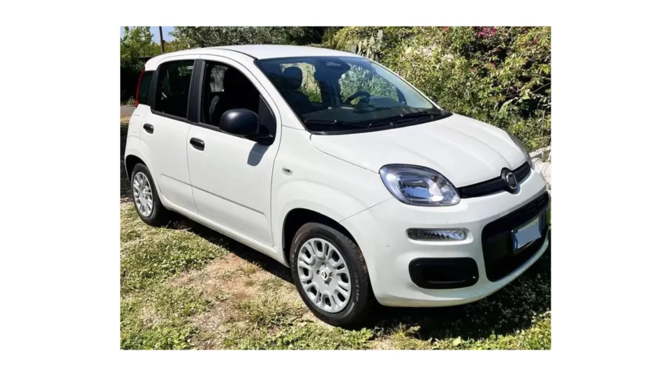Fiat Panda Panda 1.0 firefly hybrid s - MEGA Solution Autonoleggio